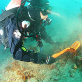 QUEST Scuba Tector Detector de Metales